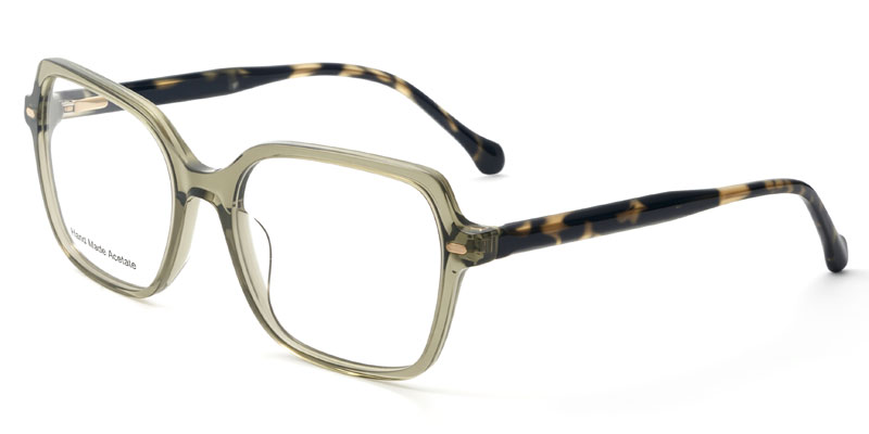 Casa Clip On Sunglasses