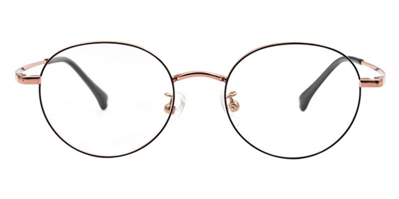 Polar Bear Titanium alloy Round Teenager Eyewear,Ion Plating Finish,Optical-grade polish