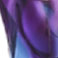 Purple Tortoise