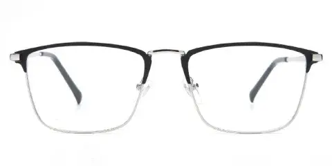 Shiprock Metal Optical Frame