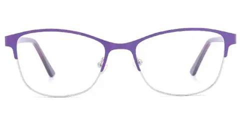 Troy Women's Fashion Stainless Steel Spectacle Frame Factory Direct Supply, 54mm