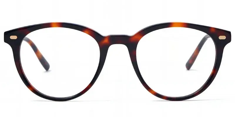Chelsea 52mm Pantos Magnetic Clip On Sunglasses - Brown Tortoise