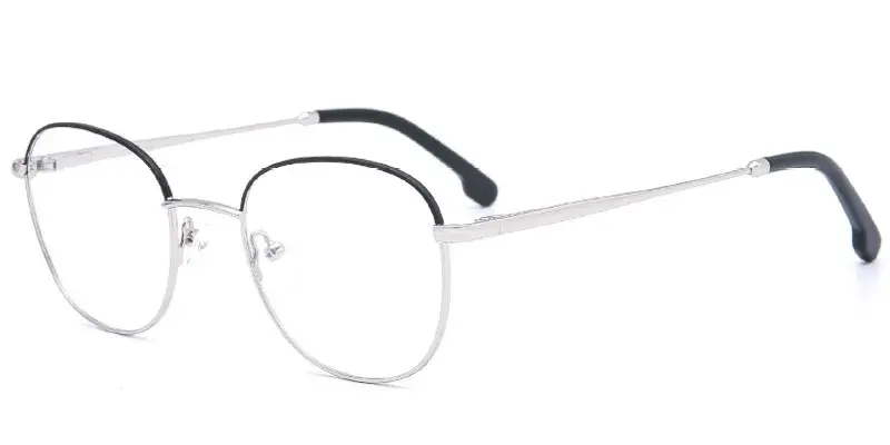 Honesdale 50mm Unisex Eyeglasses Frame | Factory Direct OEM/ODM - Silver