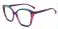 Purple Acetate Optical Frame