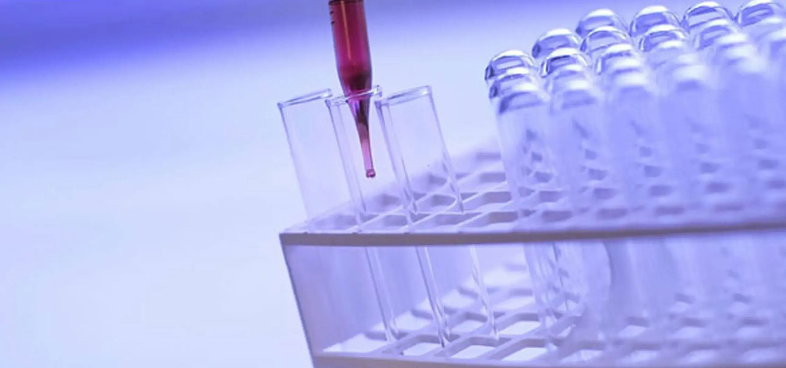 Eyewear Geometry Lab